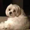 Colin Roy - @2184659607 - TikTok