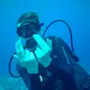Colin Roy - @colin_roy - TikTok