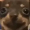colinrust - @colinrust0 - TikTok