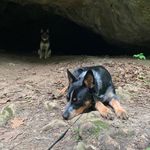 Colin Schroeder - @cschroeder_ - Instagram