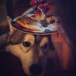 Colin Schroeder - @quipship - Instagram