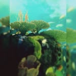 Colin Scully - @codasc - Instagram
