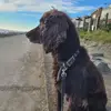 Colin Stephens - @colin.stephens50 - TikTok