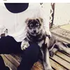 colin_strong - @colin_strong - TikTok