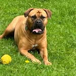 Colin Stuart - @colinstuart28 - Instagram