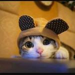 Abner Isaac Colin Suarez - @abnerisaaccolin - Instagram