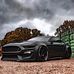 Collin Suarez - Facebook