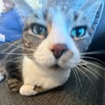 Colin tanner - @colintanner123 - Instagram