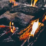 Colin Tanner - @snipershark28 - Instagram