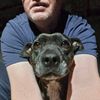 Colin Terry - @colin.terry - TikTok