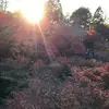 colintran_ - @colintran_ - TikTok
