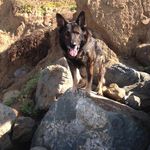 colin travis - @colintravis50 - Instagram