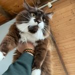 ColinTravis - @colintravis683 - Instagram