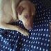 Colin Ware - Facebook