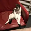 ColinWare - @kix8zqxbvlw - TikTok