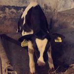 Colin_we08 - @colin_weber__ - Instagram