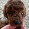 Colin Weiss976 - @colinweiss976 - TikTok