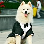 Colin Weiss - @keishathadog - Instagram