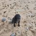 Colin Wheeler - Facebook