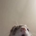 Colin Sewell Whelan - @_colin.whelan_ - Instagram