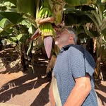 Colin Whitmore - @co_lin982 - Instagram