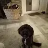 Colin Wilkinson - @colin.wilkinson0 - TikTok