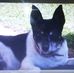 Colin Willis - Facebook