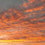 Colin Withrow - @whereiswithrow - Instagram