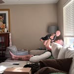 Colin York - @cyork05 - Instagram