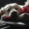 colleenabbott2 - @colleenabbott2 - TikTok