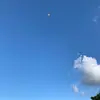 ColleenAbbott - @lhometlmv5j - TikTok