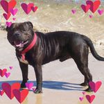Colleen Appleby - @cmappleby1 - Instagram