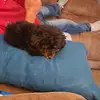colleenbauer2 - @colleenbauer2 - TikTok