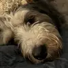 colleenbauer549 - @colleenbauer549 - TikTok