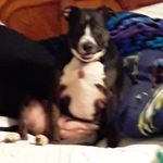 Colleen Beatty - @colleenbeatty65 - Instagram