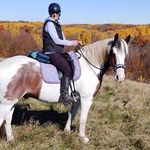 Colleen Beck - @colleen.beck.37 - Instagram