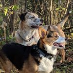 Colleen Becker - @colleenbeck312 - Instagram
