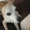 Colleen - @colleenbiggs - TikTok