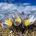 Colleen Biggs - Facebook
