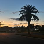 Colleen Bova - @colleen.bova.4 - Instagram