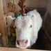 Coleen Bray - Facebook
