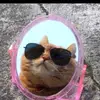 ColleenBray - @mariapmtv0b - TikTok