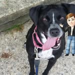Colleen Brooks - @colleenbrooks9 - Instagram
