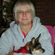 Colleen Bryan - @bluewater868 - Instagram