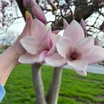 Colleen Bryan - @colleenbryan7134 - Instagram