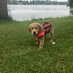 Colleen (Bryan) Barnes - @cbryan2788 - Instagram