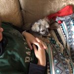 Colleen Buchanan - @colleen.buchanan.90281 - Instagram
