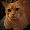 colleenbuchanan78 - @colleenbuchanan78 - TikTok