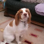 Colleen Amanda Bunn - Facebook