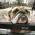 colleens on columbus - @colleensoncolumbus - Instagram